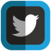  photo Twitter-icon_zpsc8738b14.png