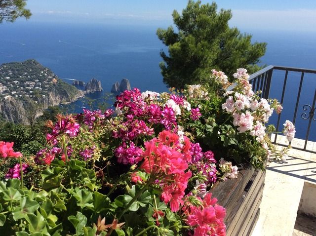  photo image_zpsmgrjk0qm.jpeg