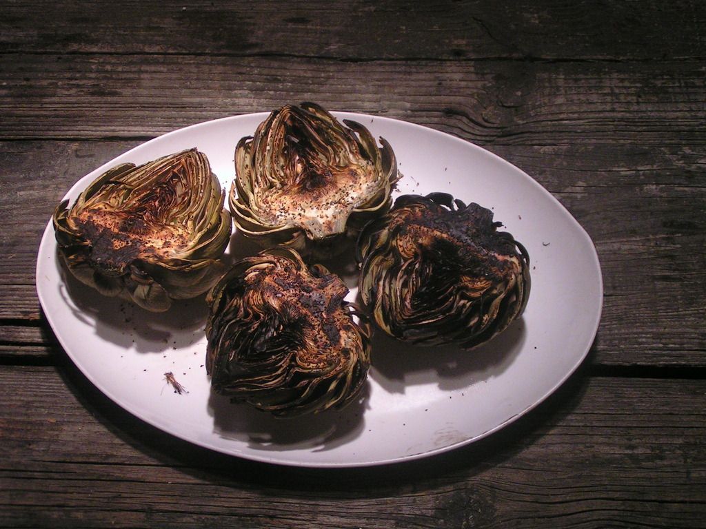 PICT3098_zpsuhwvykgy.jpg