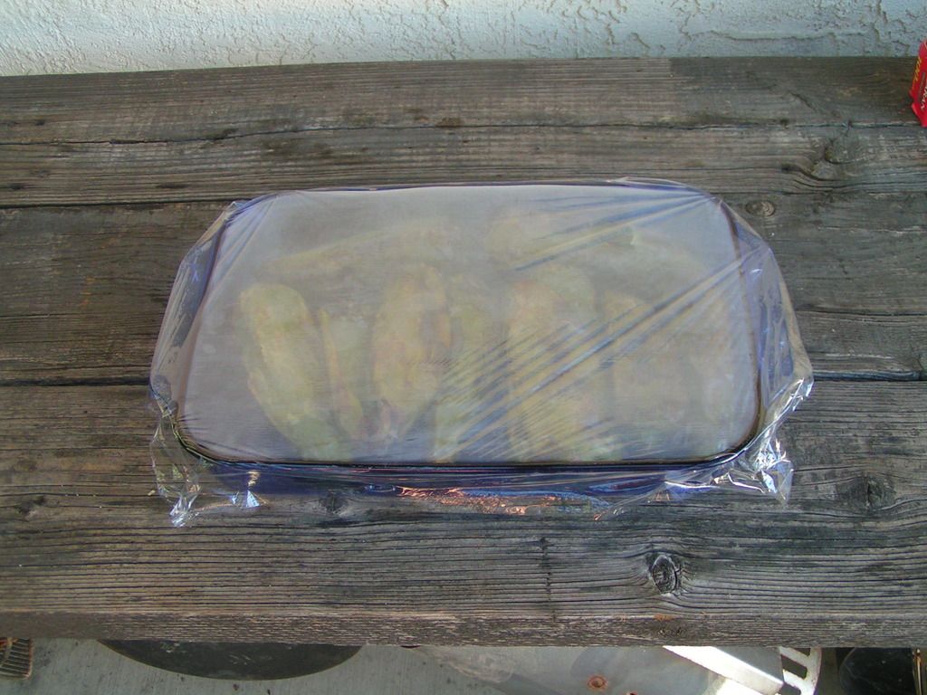 PICT0949_zps5jctcecu.jpg