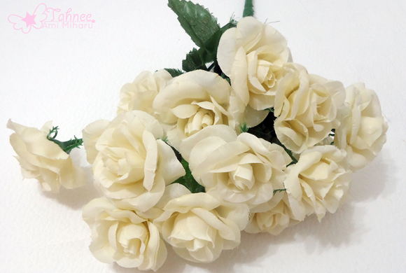 photo foto7_zpswlq8aof9.png