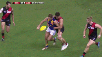 BAGS_vEagles_zpse6f705ed.gif