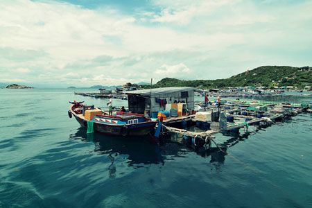 Tour  Đảo Bình Ba 2 ngày 1 đêm  giá cực hót: 1.350.000 VNĐ - 1