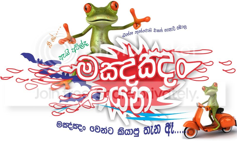 nt3_zps7a8451c3.jpg