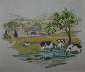 photo 4_zpsz71uqum9.jpg