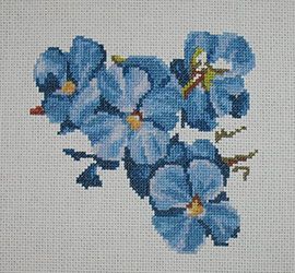 photo Blue violets2_zpsj0wfuwjv.jpg