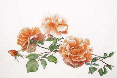 photo 000_zpskyh3ghw6.jpg