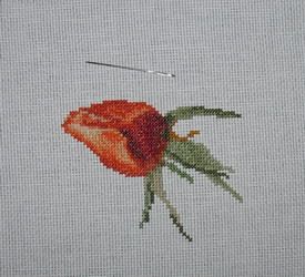 photo 1_zpshprd3rke.jpg
