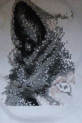 photo 258img06_zpsub86tye2.jpg