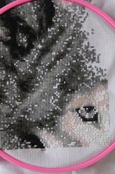 photo img09_zpsgiwrnhy6.jpg