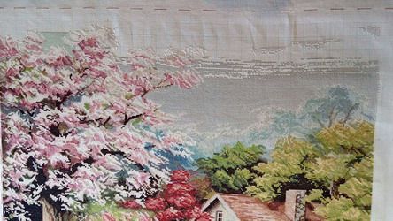 photo img12_zps7actcha8.jpg