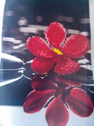 photo img13_zpsmay0mhku.jpg