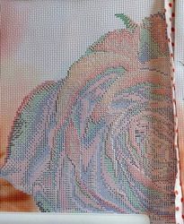 photo img14_zps9bgcbjbd.jpg
