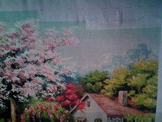 photo img07_zps4b9velz9.jpg